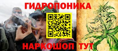 крисы Туймазы