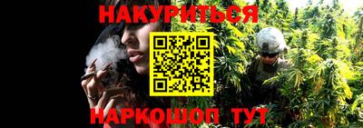 мяу мяу мука Тулун