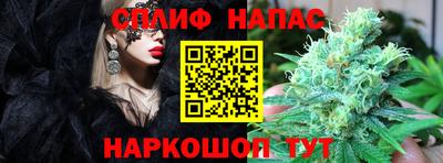 мяу мяу мука Тулун