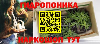 мяу мяу мука Тулун