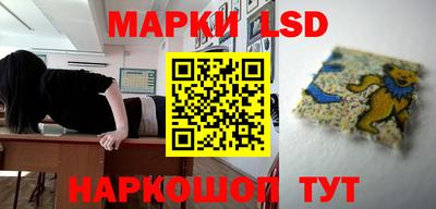 мяу мяу мука Тулун
