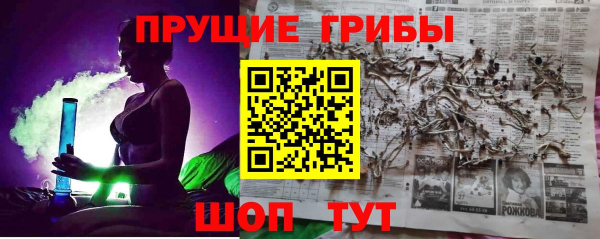 купить наркотик  Вход с VPN  Минусинск  Псилоцибиновые грибы ЛСД 