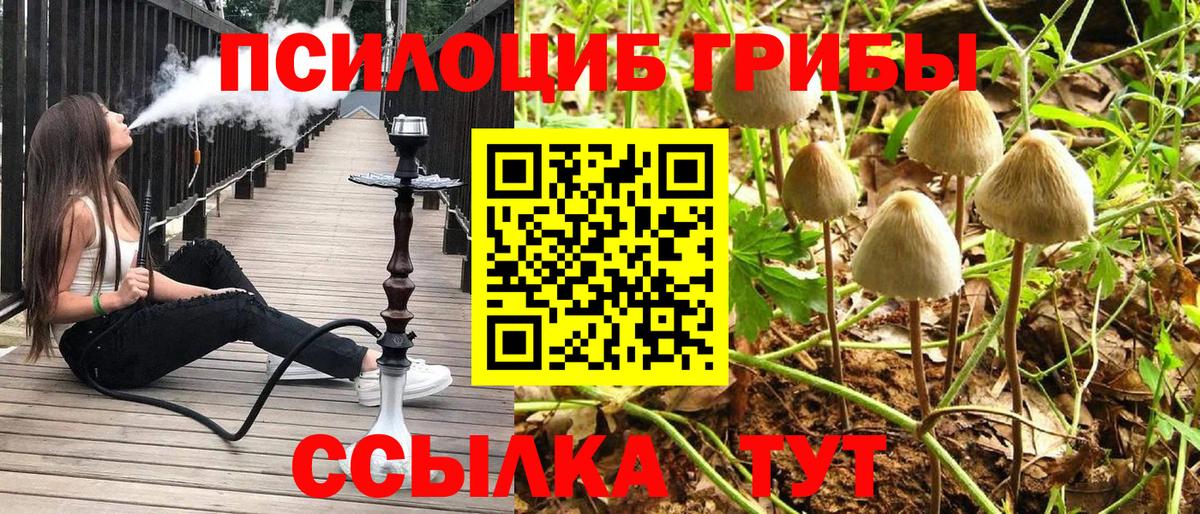 Псилоцибиновые грибы GOLDEN TEACHER Минусинск